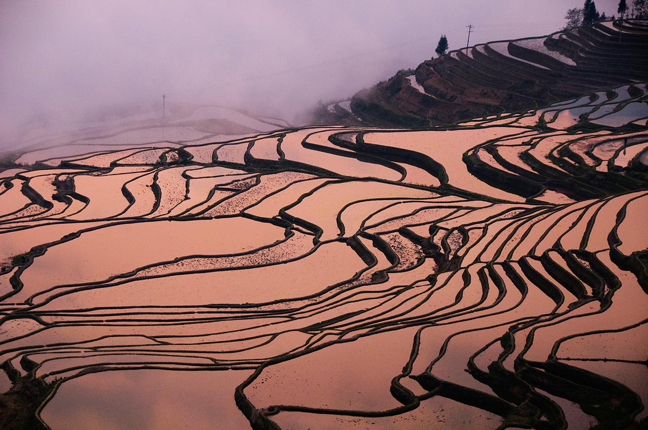 sunrise at the spectacular water filled rice terraces of Yuanyang in Yunnan China