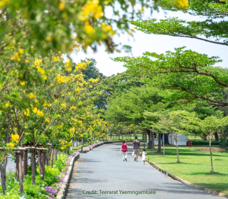 Suan Luang Rama IX Park