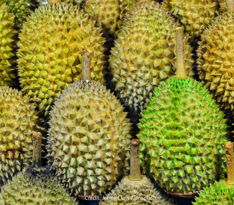 Durian: The King of Fruits